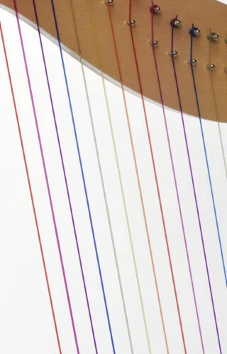 Rainbow Harp 4