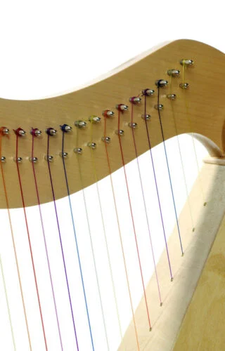 Rainbow Harp 89